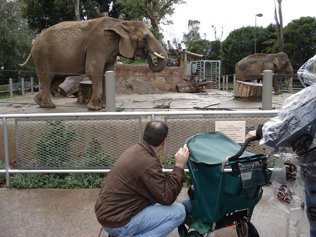 San Diego Feb 2009 108.jpg