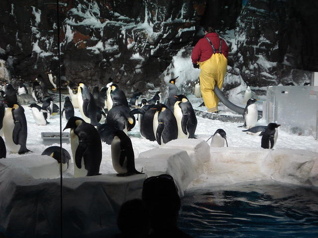 San Diego Feb 2009 167.jpg