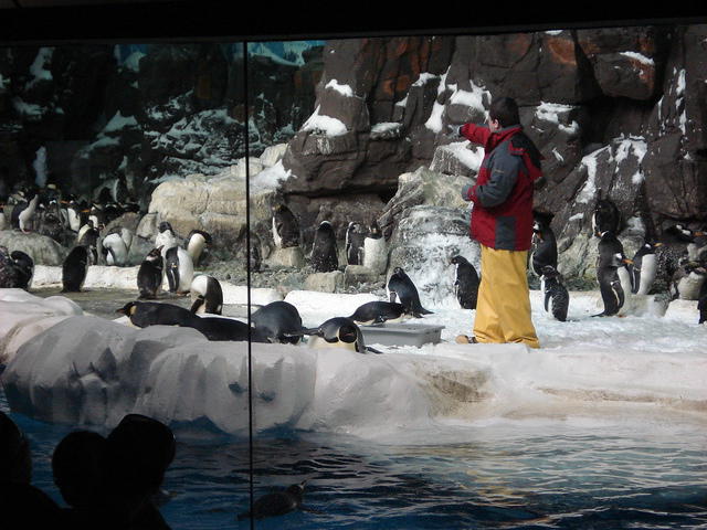 San Diego Feb 2009 168.jpg