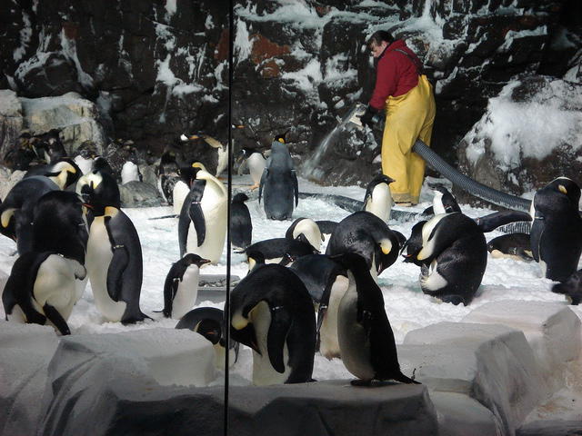 San Diego Feb 2009 169.jpg