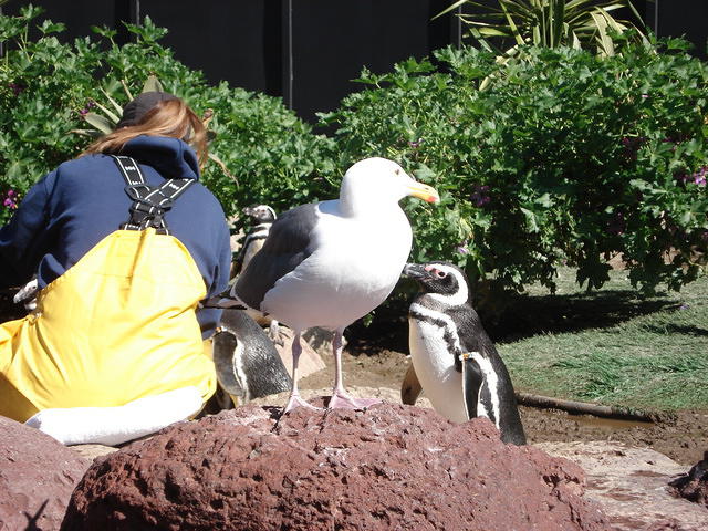 San Diego Feb 2009 170.jpg