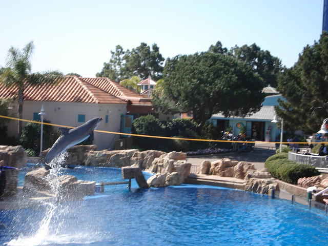 San Diego Feb 2009 171.jpg