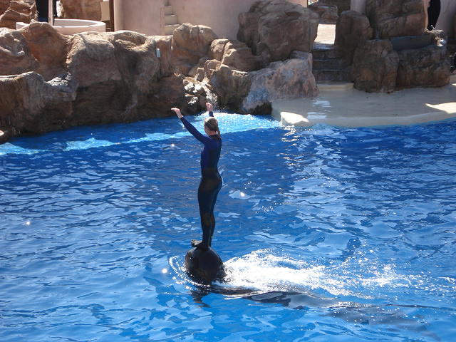 San Diego Feb 2009 172.jpg