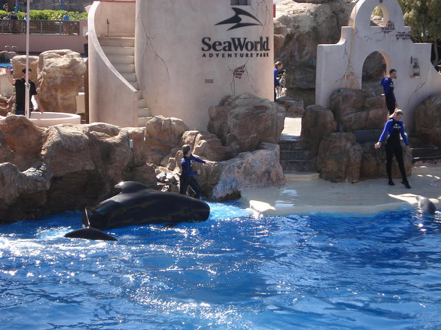 San Diego Feb 2009 173.jpg