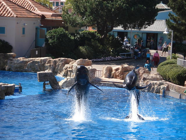 San Diego Feb 2009 174.jpg