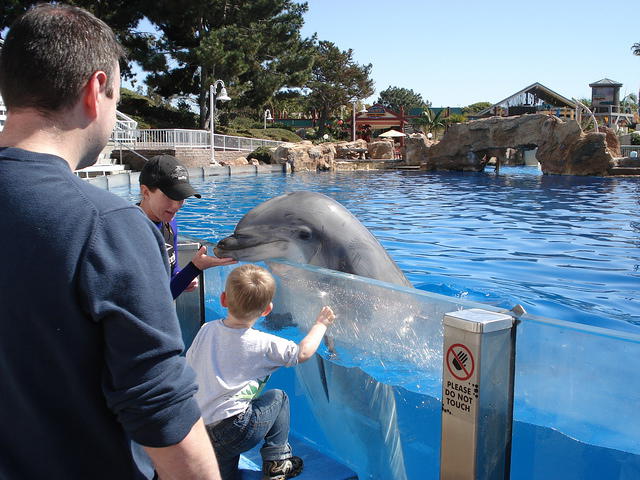 San Diego Feb 2009 175.jpg