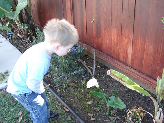 San Diego Feb 2009 179.jpg