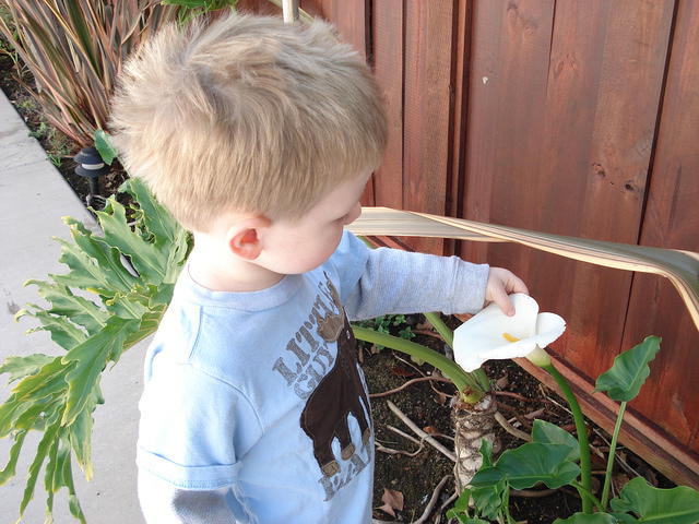 San Diego Feb 2009 180.jpg