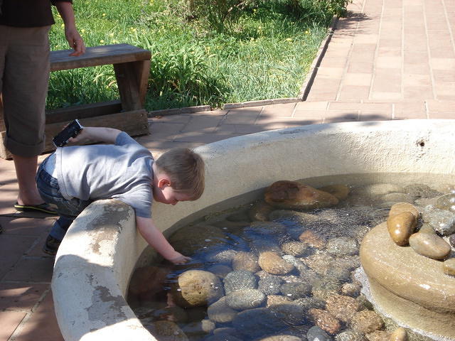 San Diego Feb 2009 187.jpg