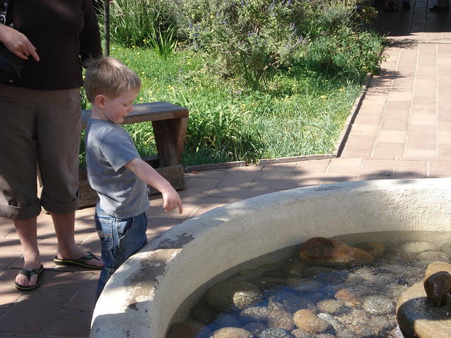 San Diego Feb 2009 188.jpg