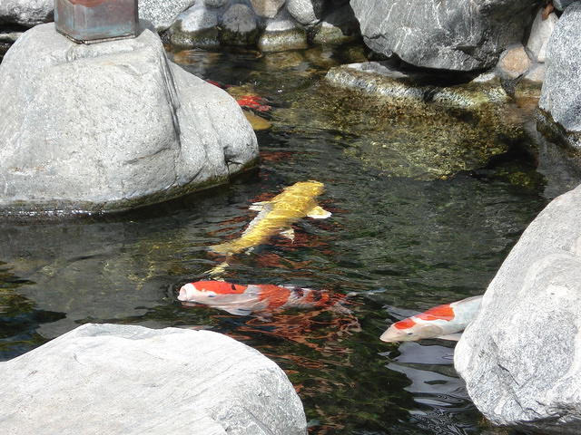 San Diego Feb 2009 216.jpg