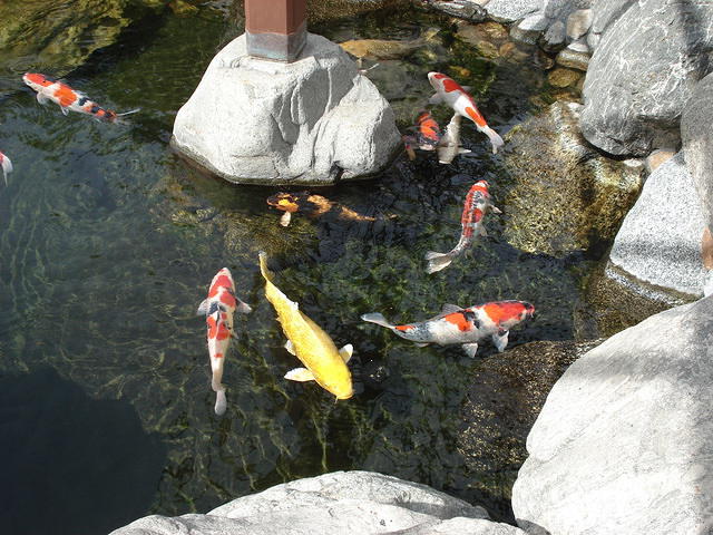 San Diego Feb 2009 219.jpg