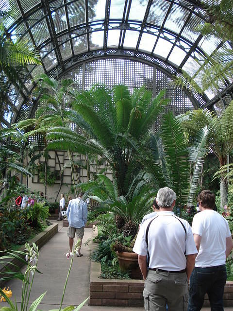 San Diego Feb 2009 230.jpg