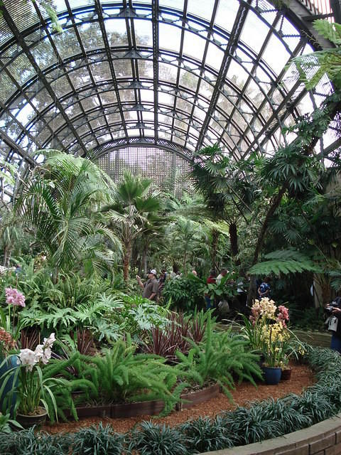 San Diego Feb 2009 232.jpg