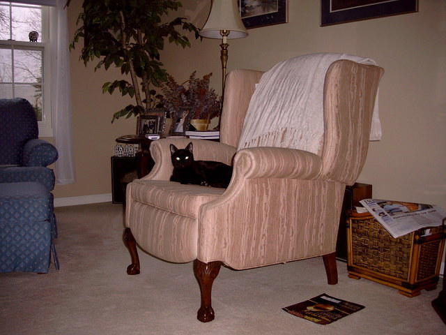 Zoey_Jan2006 015.jpg