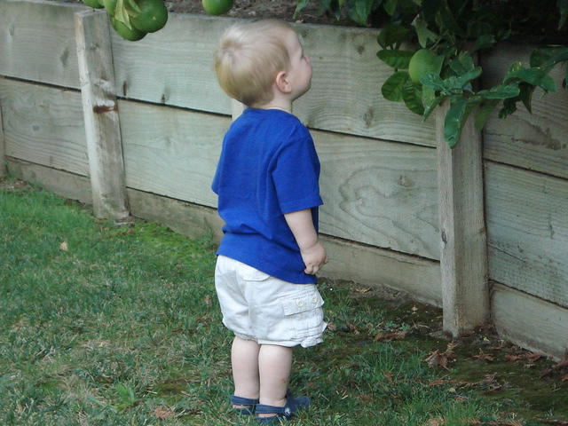 Colin_s cabinets 014.jpg