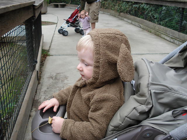 Colin_s cabinets 113.jpg