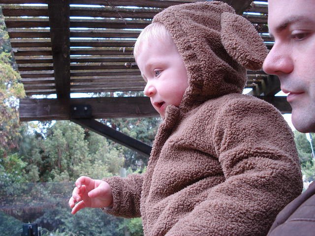 Colin_s cabinets 119.jpg