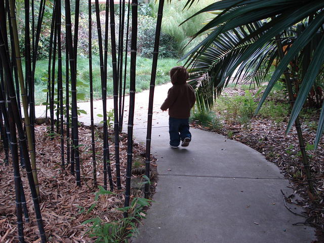 Colin_s cabinets 120.jpg