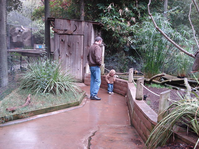 Colin_s cabinets 121.jpg