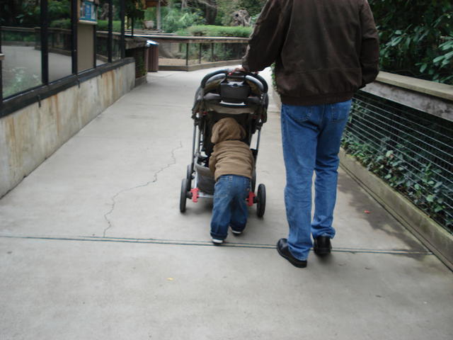 Colin_s cabinets 123.jpg