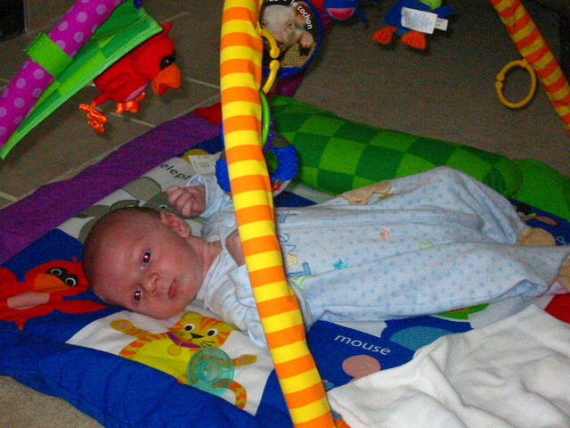 Colin 2006 035.jpg