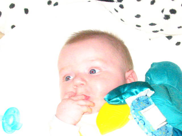 Colin 4 months 2006 068.jpg