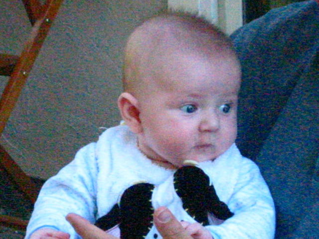 Colin 4 months 2006 101.jpg