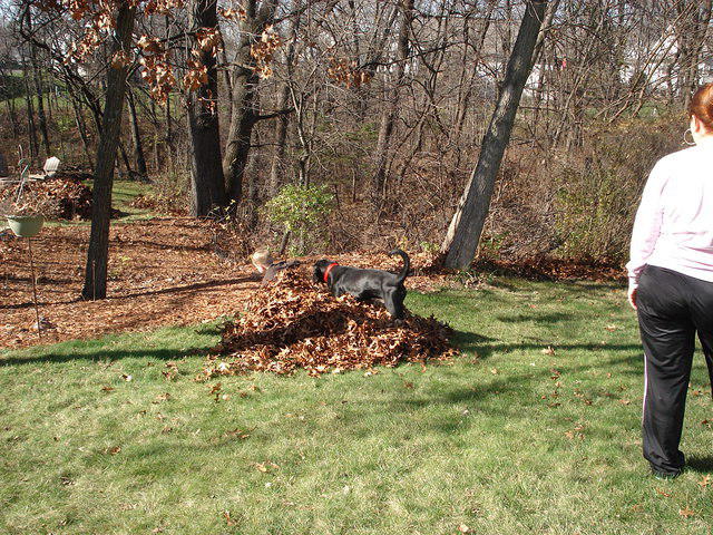 Colin Iowa visit 018.jpg