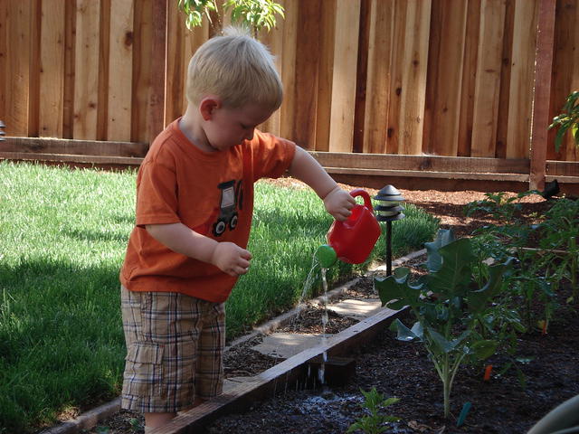 Colin May 2008 001.jpg