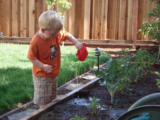 Colin May 2008 002.jpg