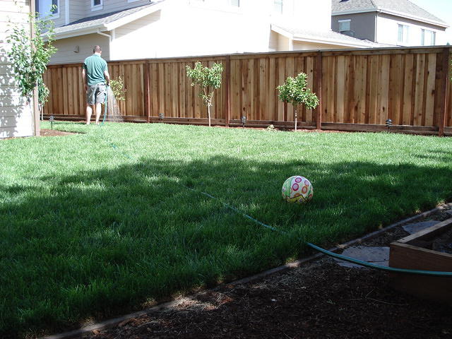 Colin May 2008 004.jpg