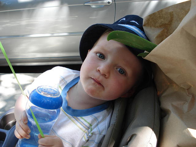 Colin May 2008 029.jpg