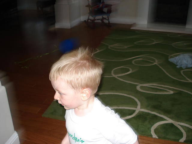 Colin May 2008 061.jpg