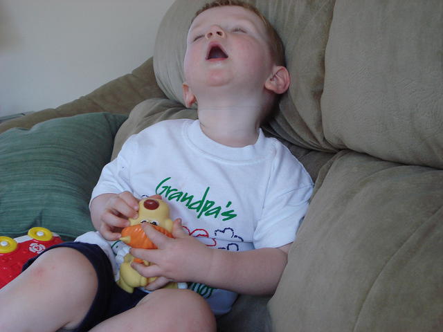 Colin May 2008 066.jpg