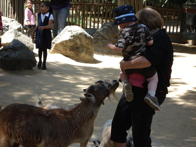 Colin May 2008 090.jpg