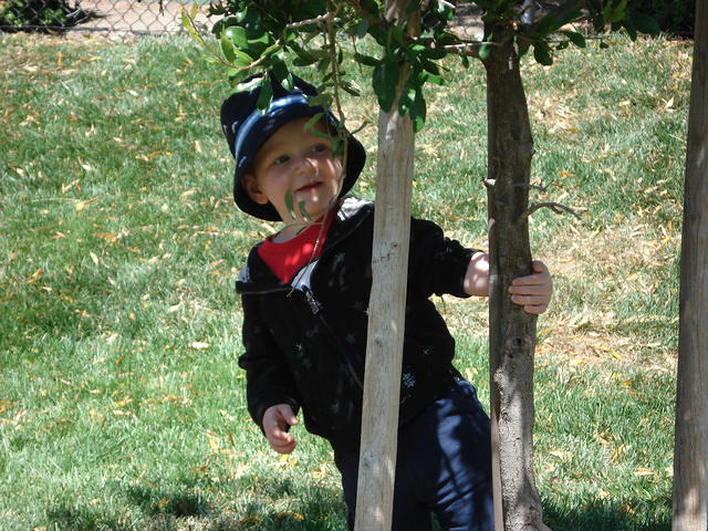 Colin May 2008 102.jpg