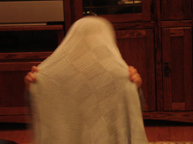 Colin November 2008 063.jpg