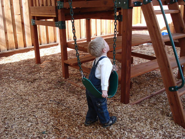 Colin November 2008 081.jpg