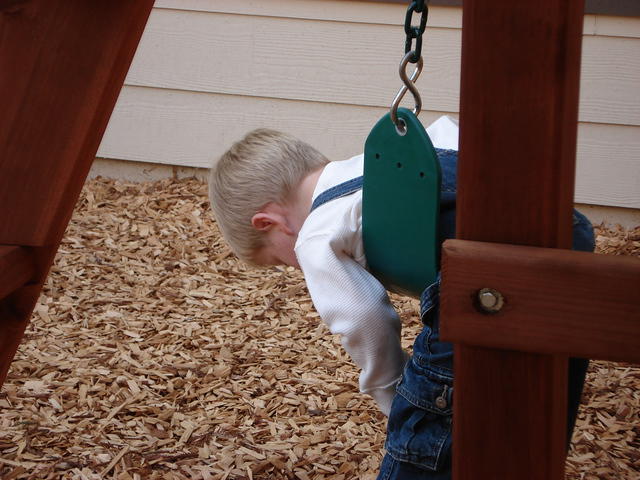 Colin November 2008 082.jpg