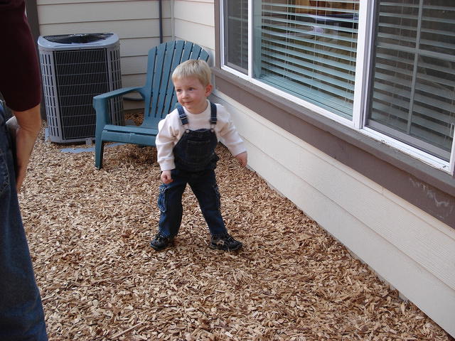 Colin November 2008 088.jpg