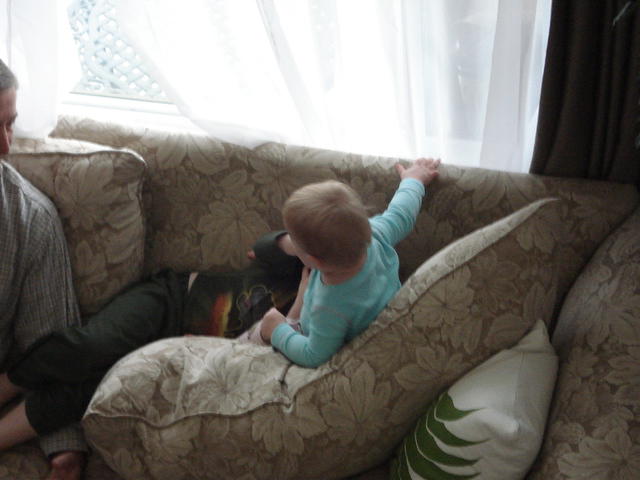 Christmas 2010 003.jpg