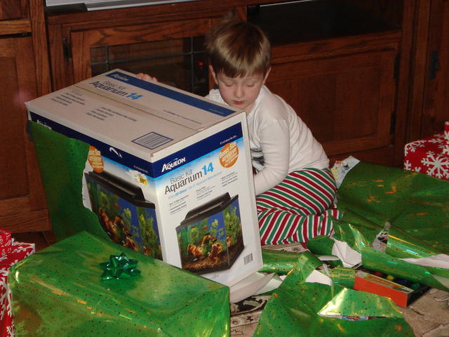 Christmas 2010 036.jpg