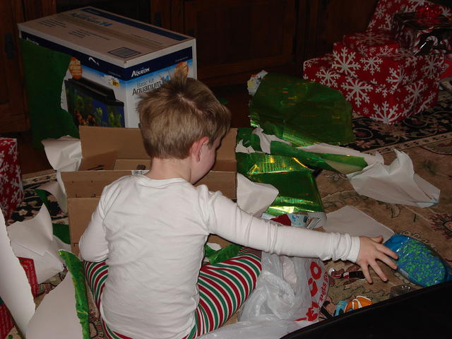 Christmas 2010 037.jpg