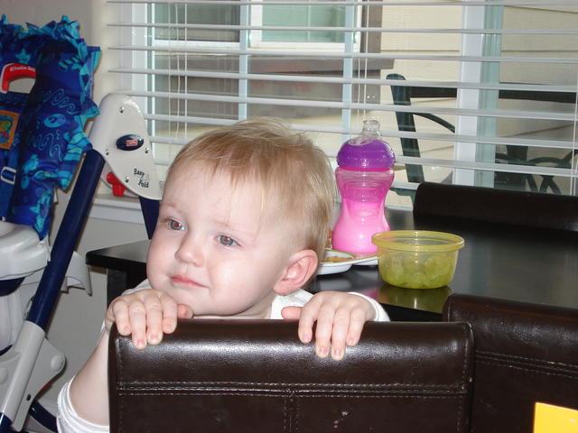 Christmas 2010 045.jpg