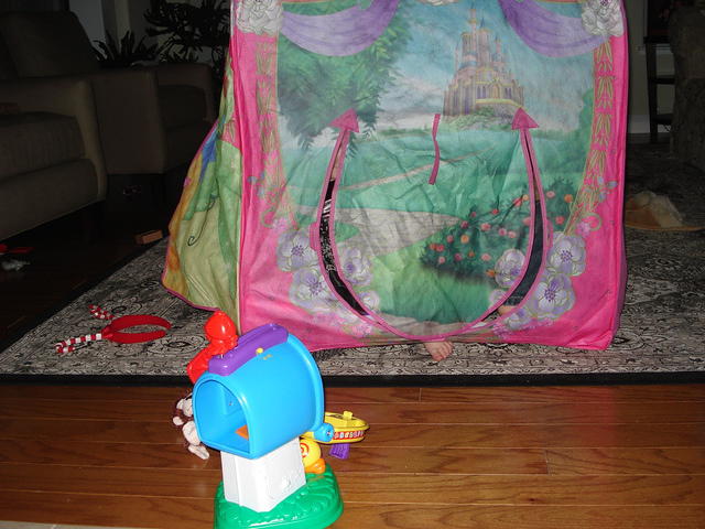 Christmas 2010 093.jpg