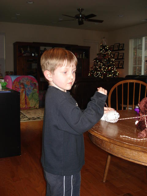 Christmas 2010 097.jpg