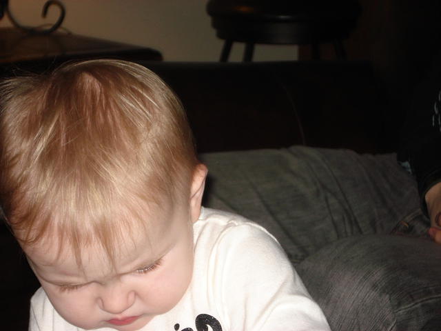 Christmas 2010 110.jpg