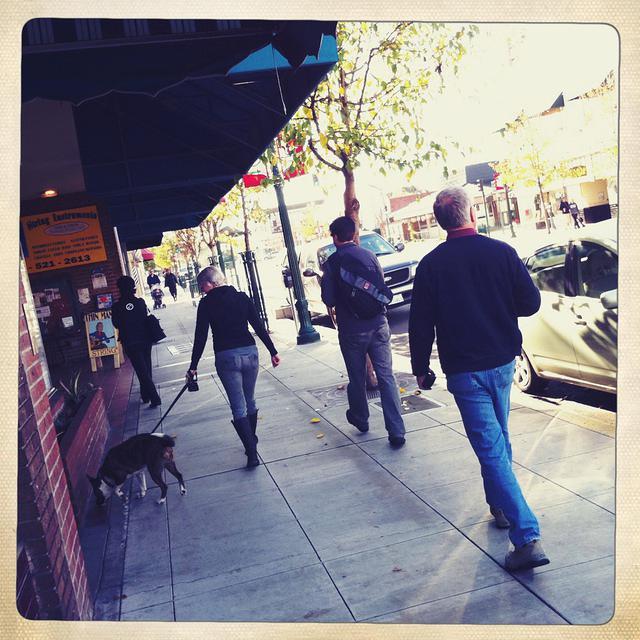 Christmas 2010 143.jpg