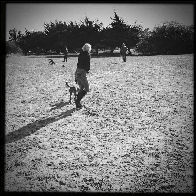 Christmas 2010 156.jpg